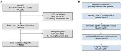Association between dietary intake of anthocyanidins and heart failure among American adults: NHANES (2007–2010 and 2017–2018)